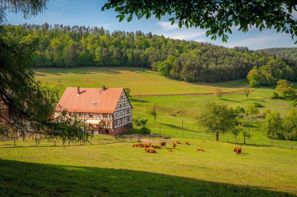 Hübsches Landhaus inmitten grüner Wiesen, agroökonomische Landwirtschaft, Tierhaltung, ländliche Umgebung.